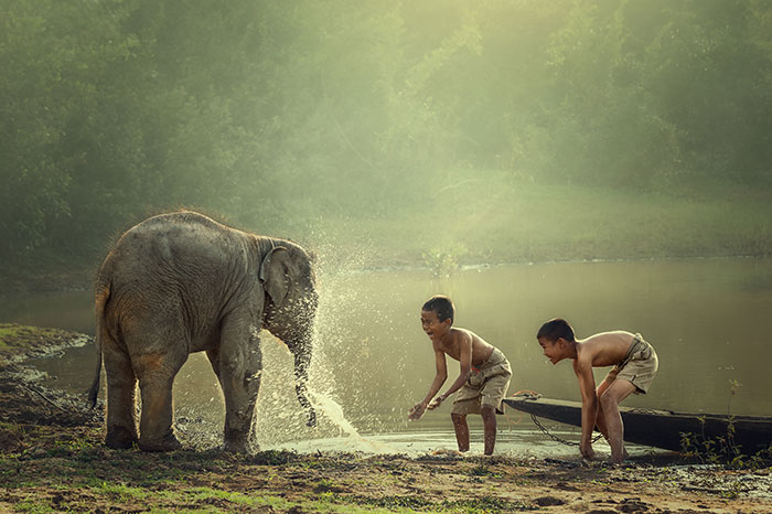 nam xan national park, laos national park, top 7 most beautiful national parks in laos, best national parks in laos, laos travel