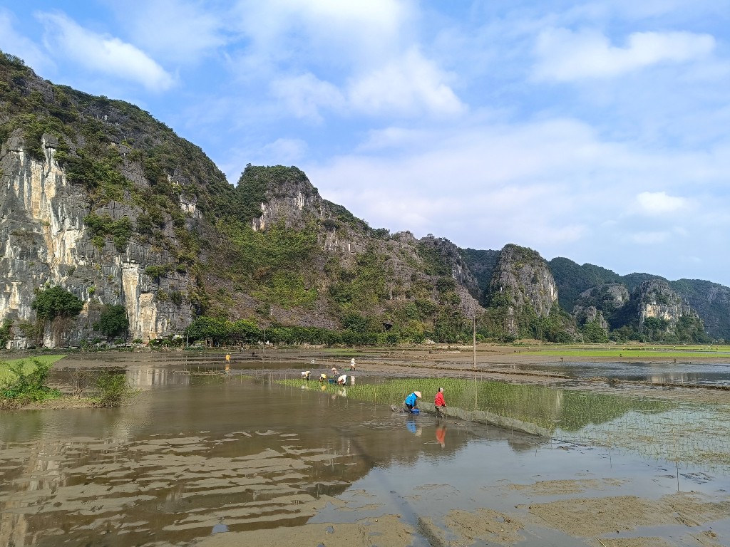 Best time to visit Ninh Binh, Ninh Binh