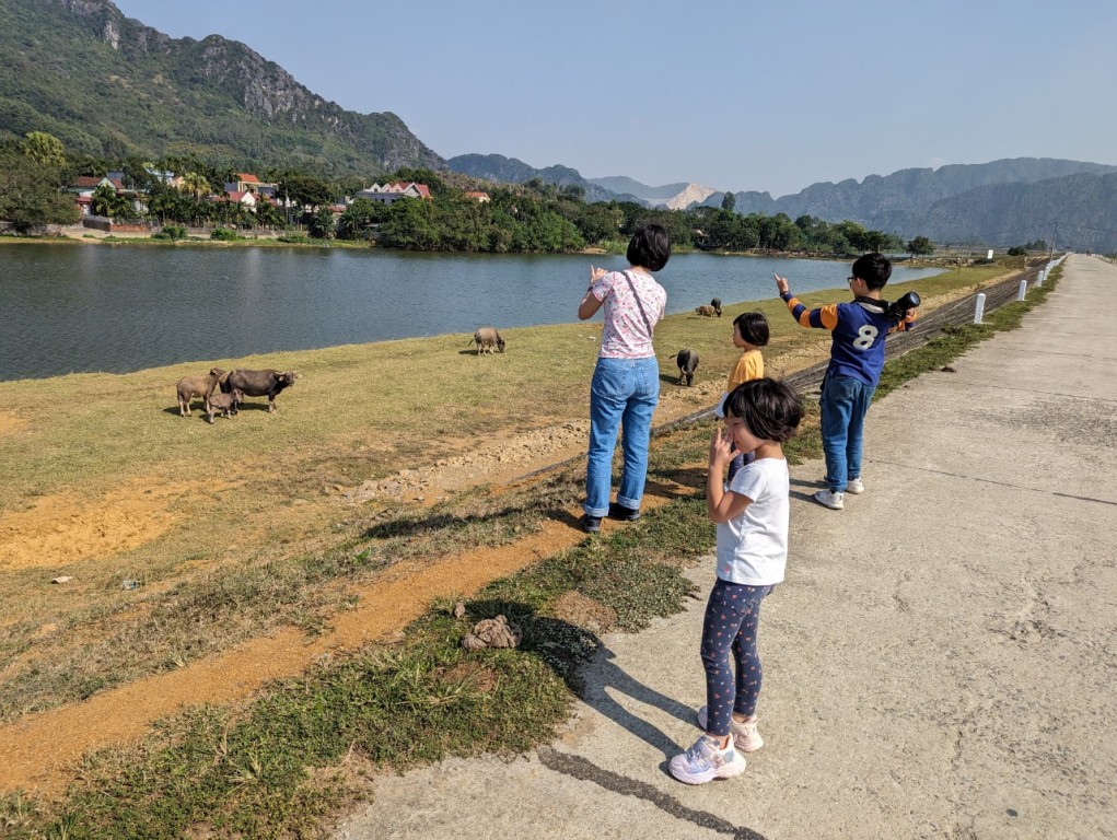 Best time to visit Ninh Binh, Ninh Binh