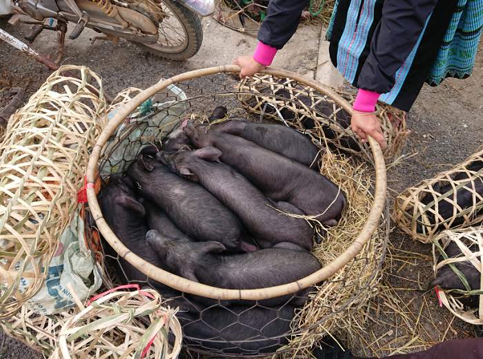 pa co market mai chau pork