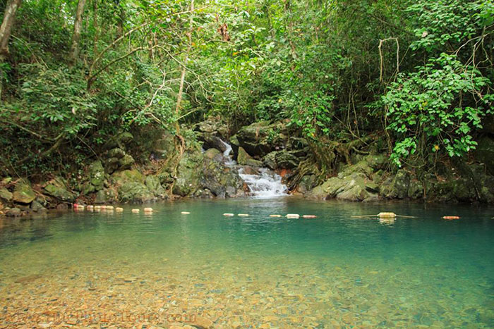 phong nha ke bang national park garden