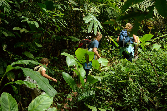 phong nha ke bang national park hiking