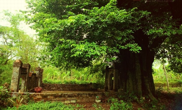 phuoc tich traditional village entrance