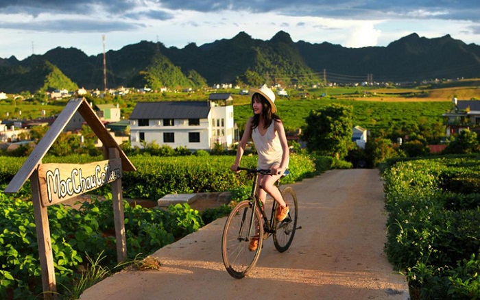 bike Vietnam, Sapa, Moc Chau, Hanoi, Cham Island, Hue, Danang, Hoi An, Dalat, Vung Tau, Cat Ba, Mekong Delta