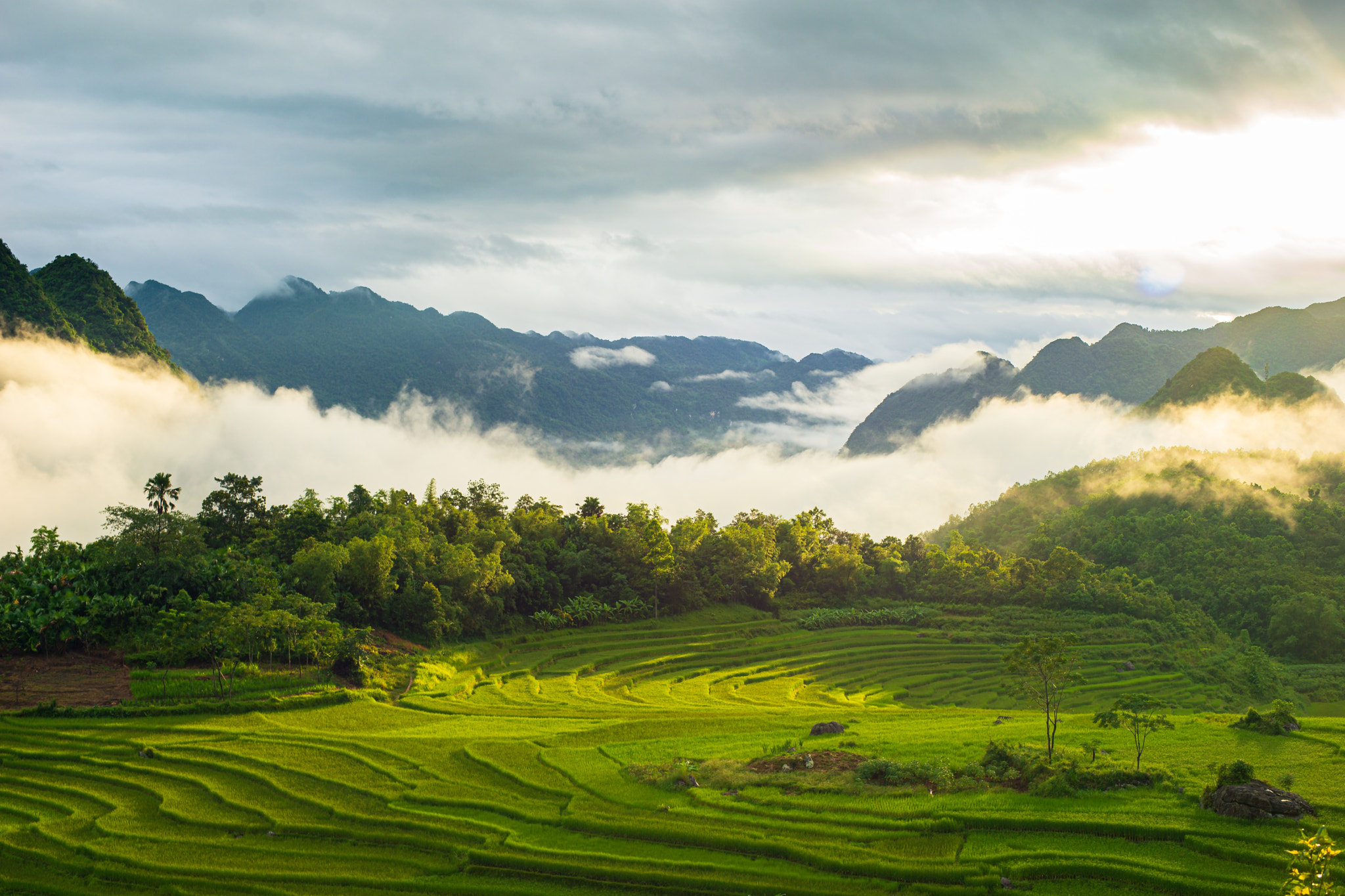 pu luong, rice terraces, vietnam