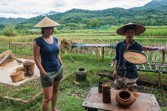 rice farming Luang Prabang, Luang Prabang stay, Living Land and Lee 7 Farm