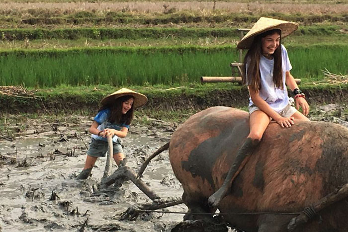 rice farming Luang Prabang, Luang Prabang stay, Living Land and Lee 7 Farm