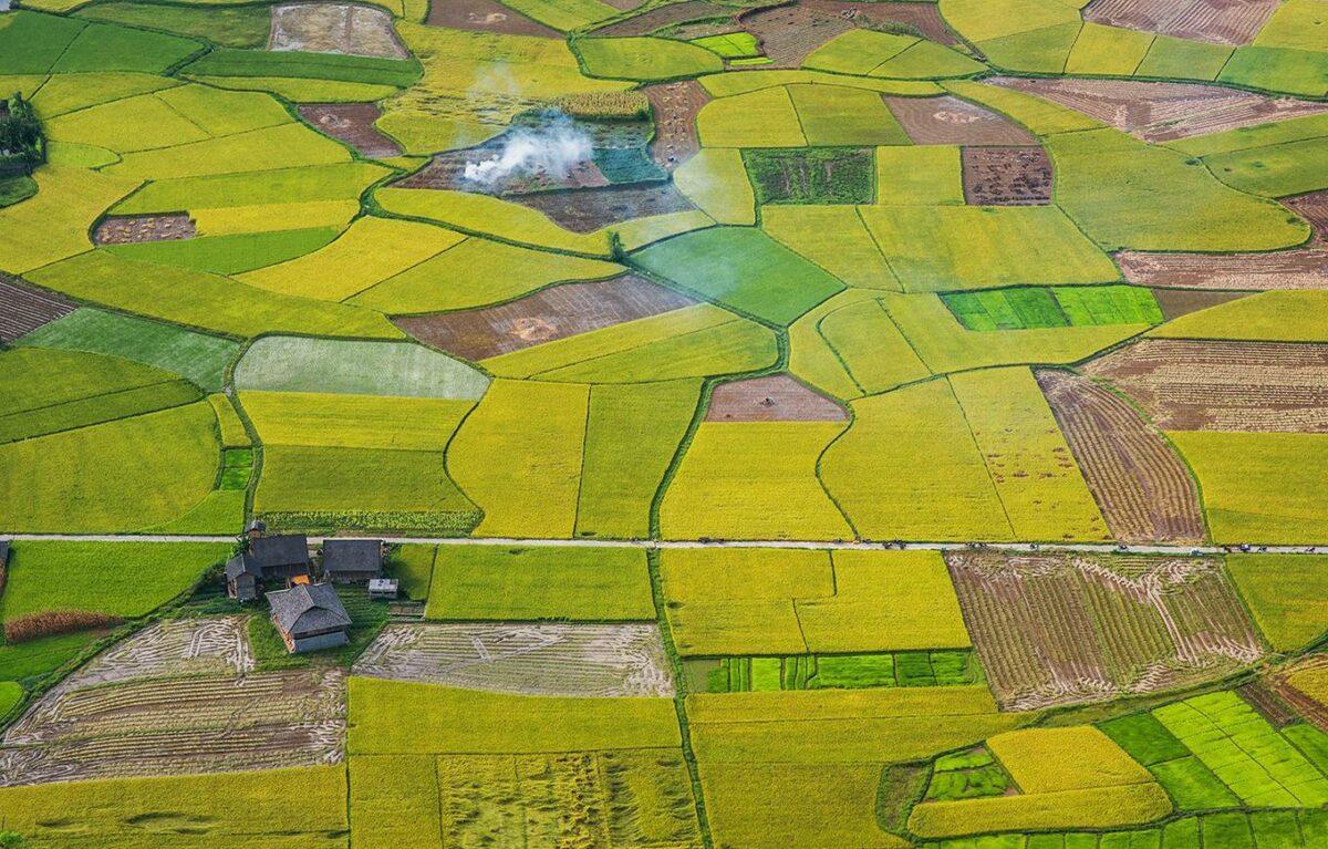 Bac Son boasts a distinct charm, characterized by its immense and serene rice paddies