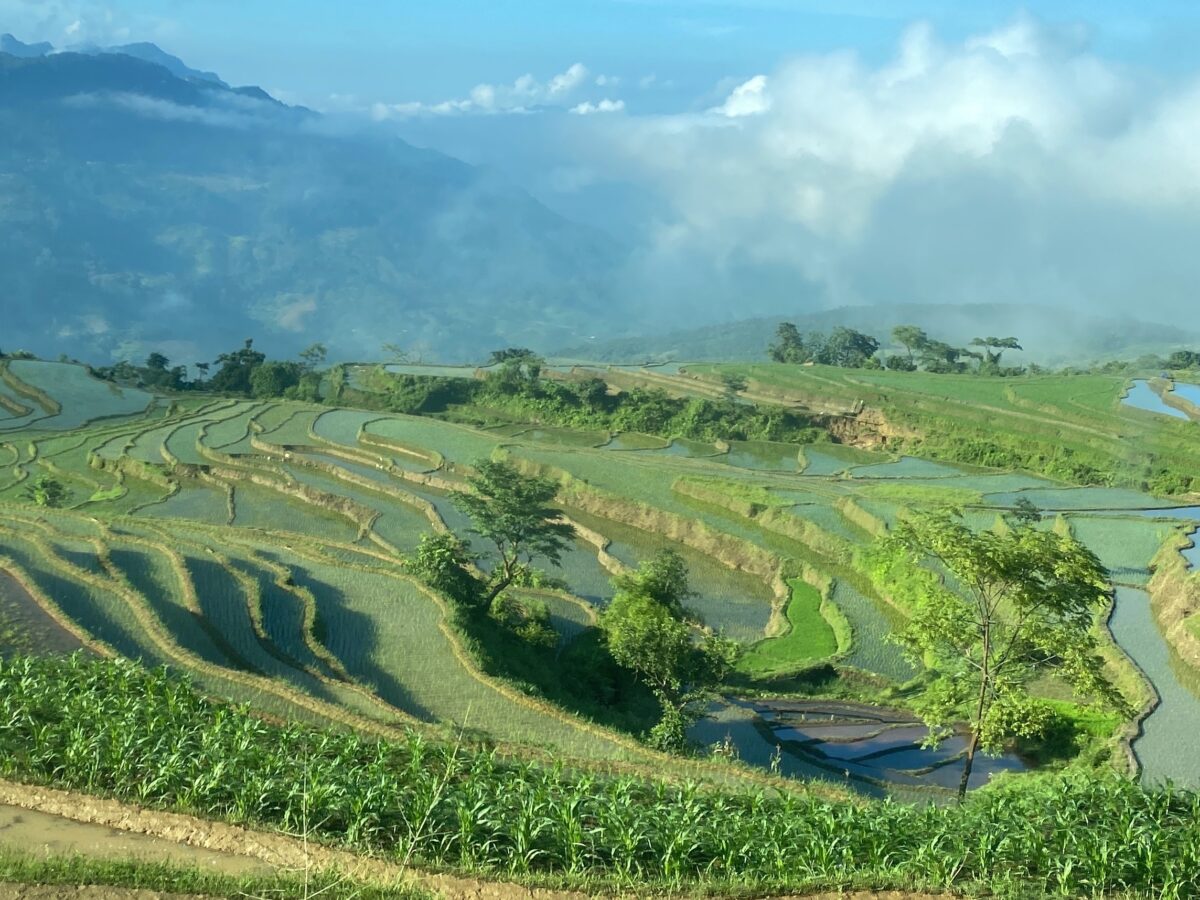 In September, Na Hang is draped in the poetic beauty of golden rice harvest season