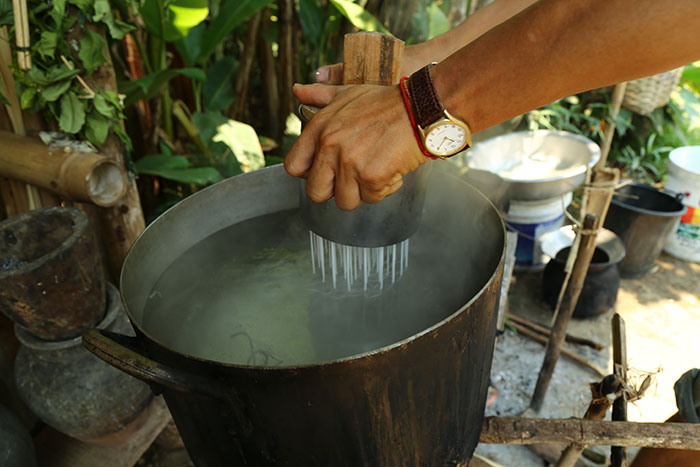 rice farming Luang Prabang, Luang Prabang stay, Living Land and Lee 7 Farm