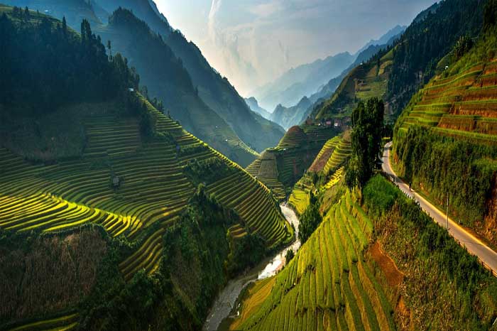 rice terraced mu cang chai yen bai