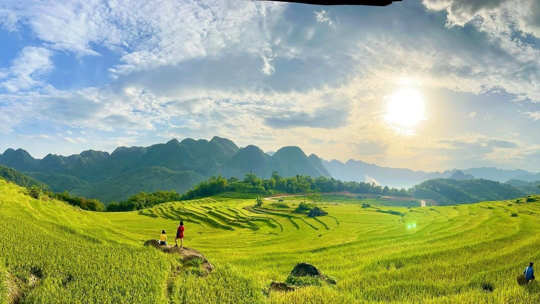 vietnam rice season