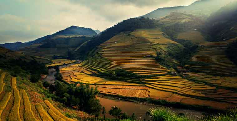 rice-terace-fields-in-sapa-what-to-do-in-sapa