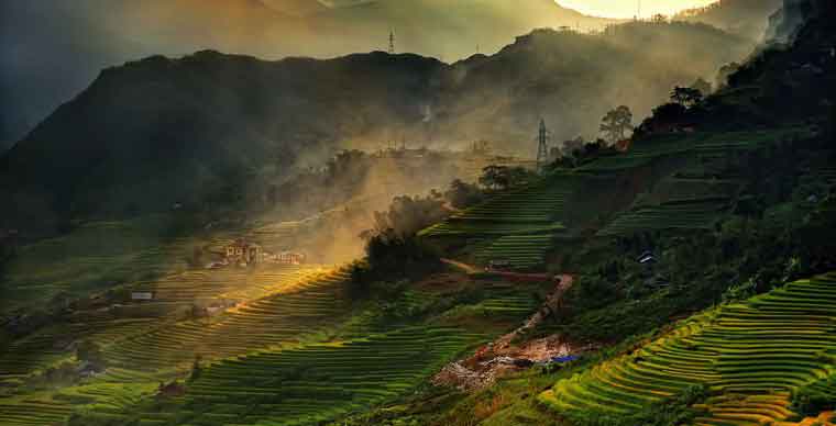 rice-terace-fields-in-sapa-what-to-do-in-sapa