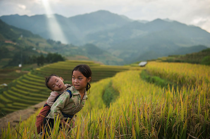 rice terraces mu cang chai,rice terraces north vietnam, most beautiful rice fields in northern vietnam