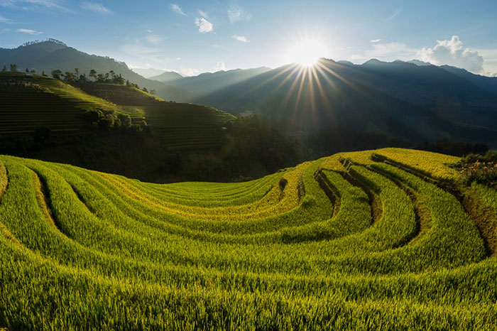 rice terraces mu cang chai, rice terraces north vietnam, most beautiful rice fields in northern vietnam