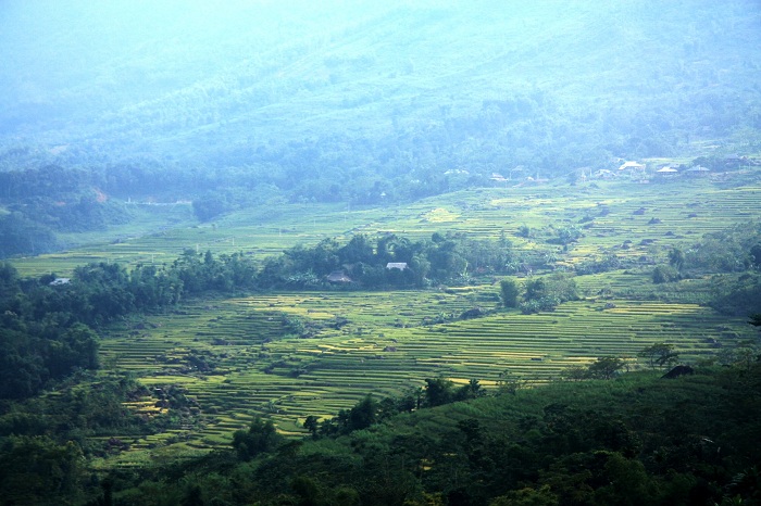 rice terraces pu luong ,rice terraces north vietnam, most beautiful rice fields in northern vietnam