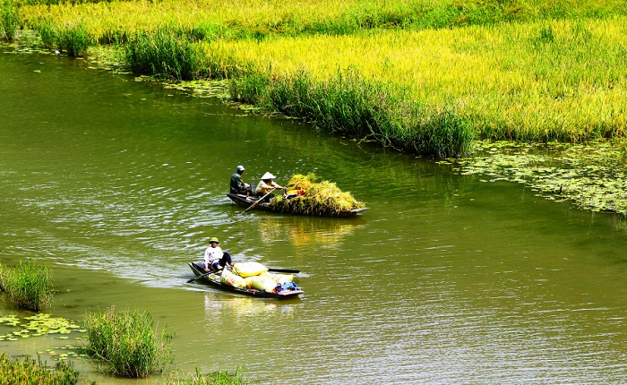 river vietnam, boat trip vietnam, river tours vietnam, vietnam most beautiful rivers, ngo dong river