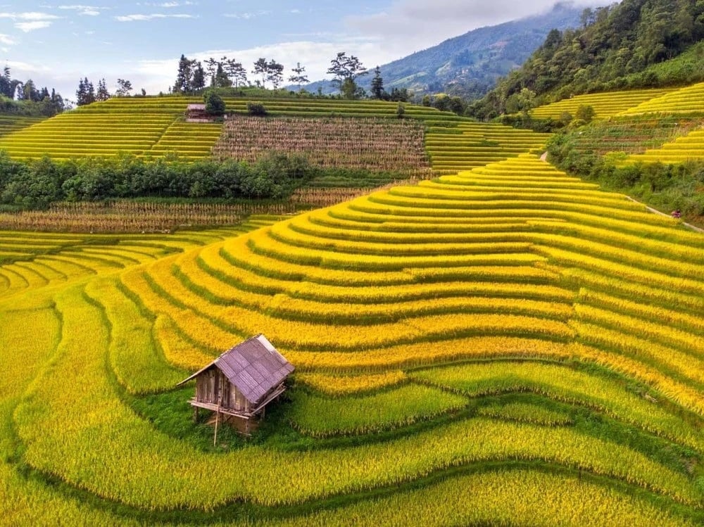 sapa, vietnam tour, vietnam tour itinerary, vietnam package tour, what to do in vietnam, where to visit in vietnam