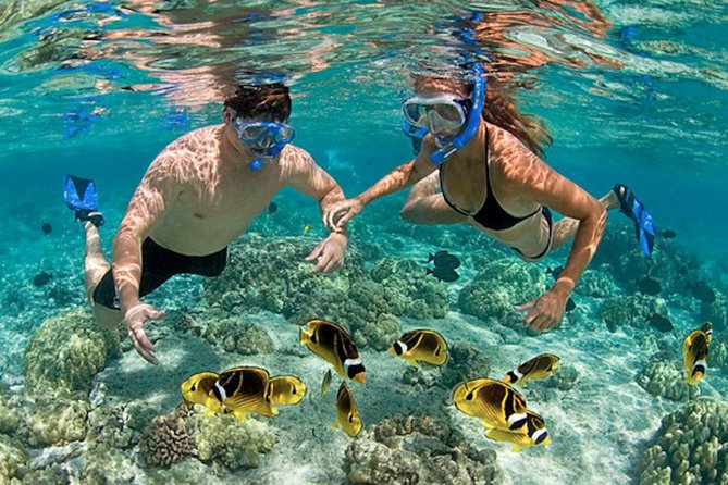 Snorkeling in Nha Trang