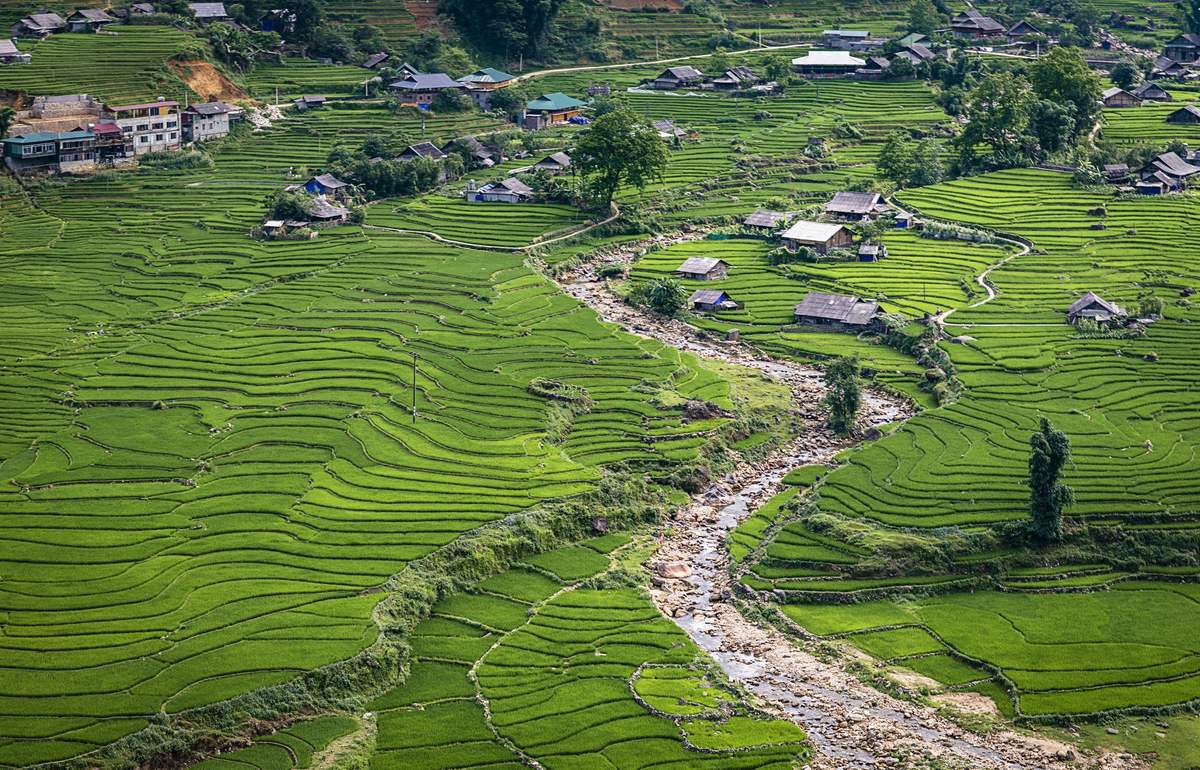 Muong Hoa Stream, Ta Van. Photo: Internet
