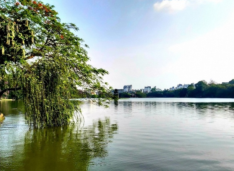 stroll around hoan kiem lake plant