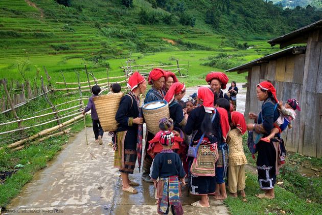 ta phin village, sapa vietnam, sapa vietnam, rice terraces in sapa, terraced rice fields sapa, dao ethnic group in sapa
