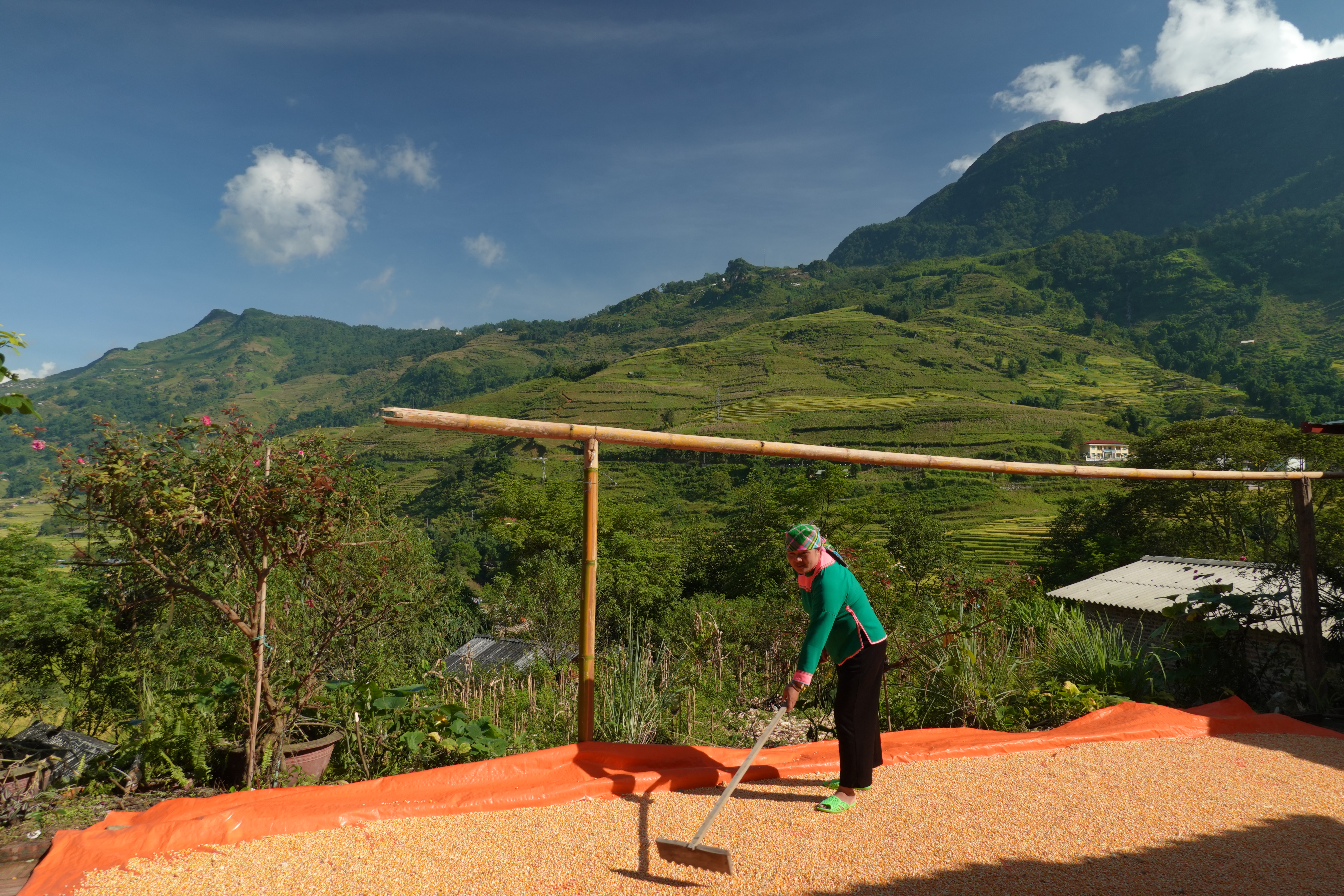 A Hmong woman in Ta Van Village drying her corn seeds. Photo: Authentik Vietnam