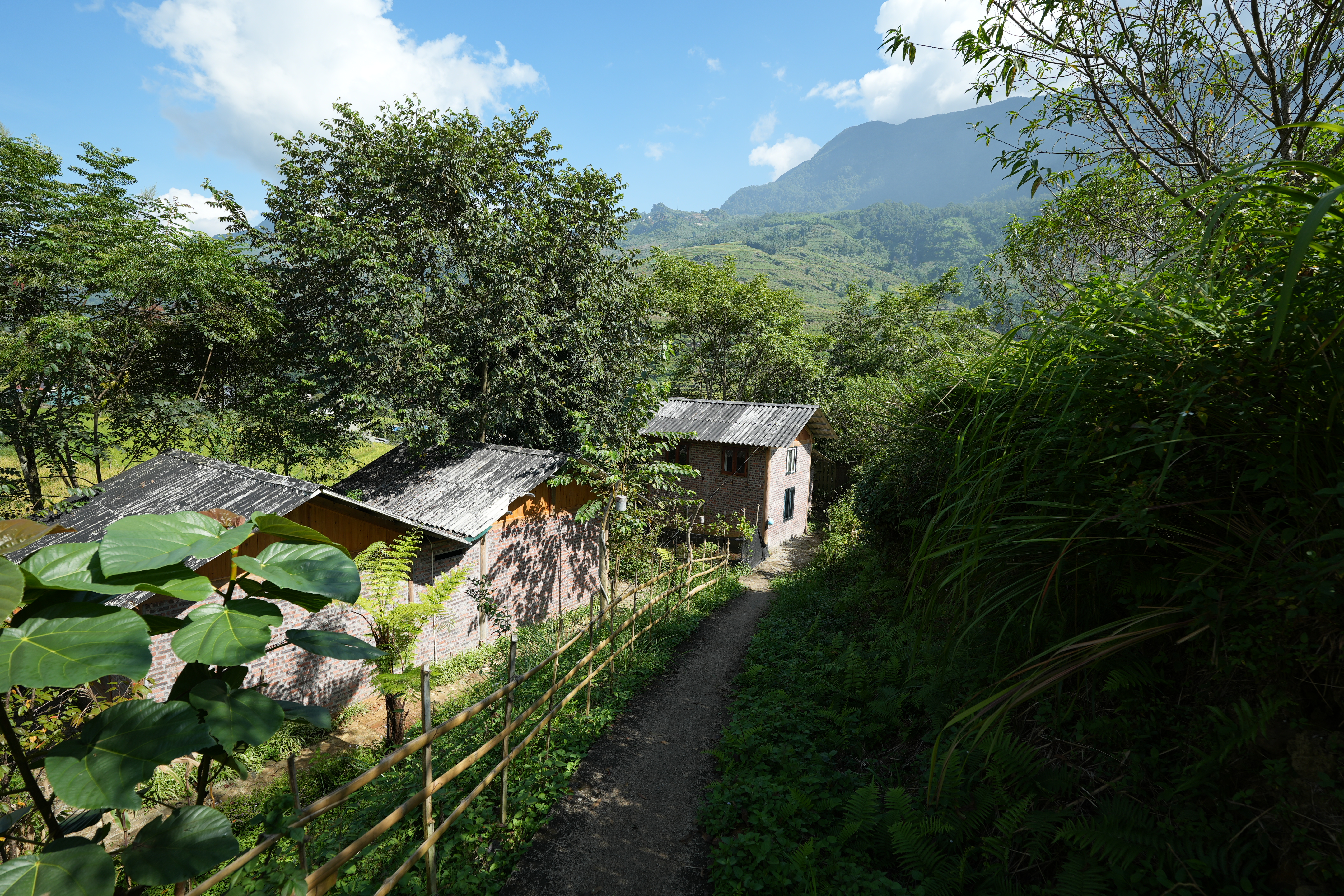 A narrow dirt path winding through a small hamlet. Photo: Authentik Vietnam