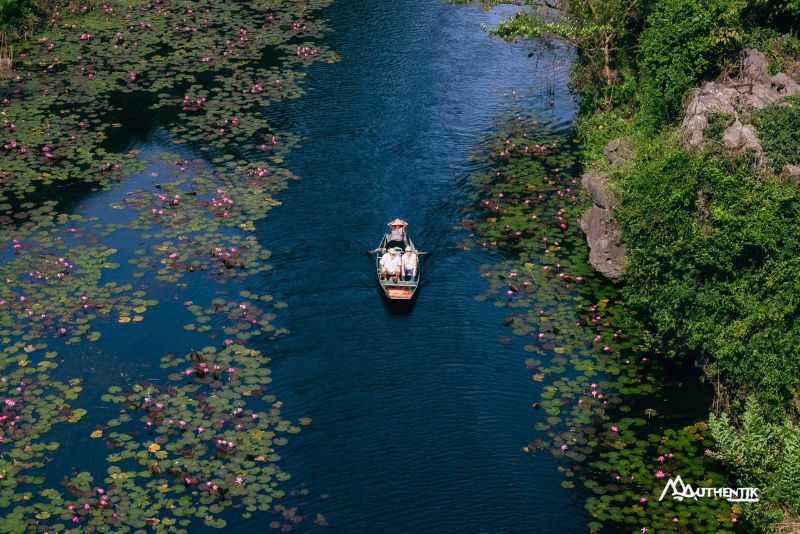 flower season tam coc, tam coc, ninh binh, boat trip tam coc ninh binh