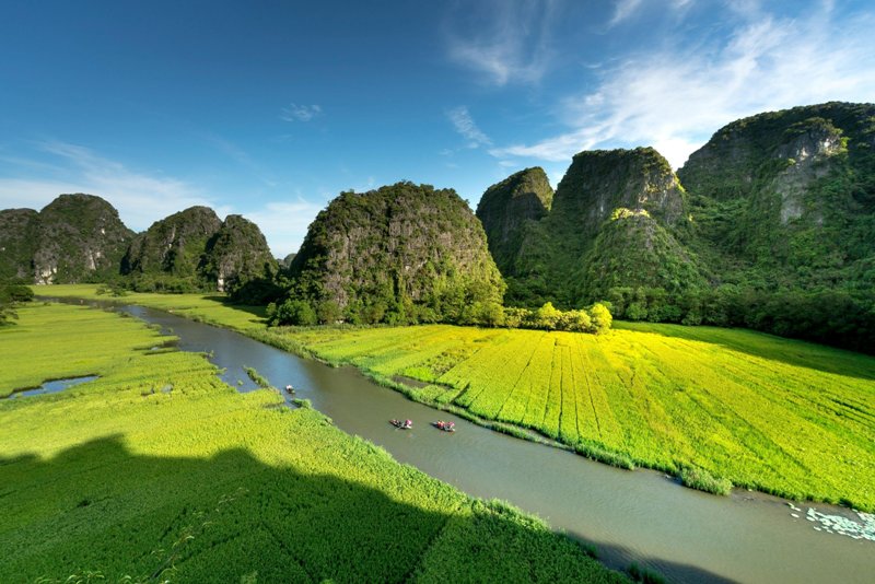 rice season tam coc, tam coc, ninh binh, boat trip tam coc ninh binh