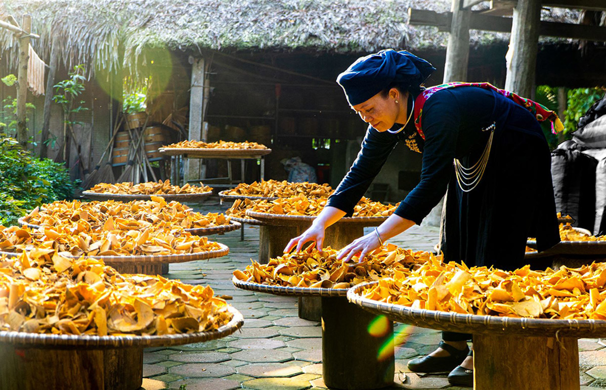 thai hai village, thai nguyen, vietnam