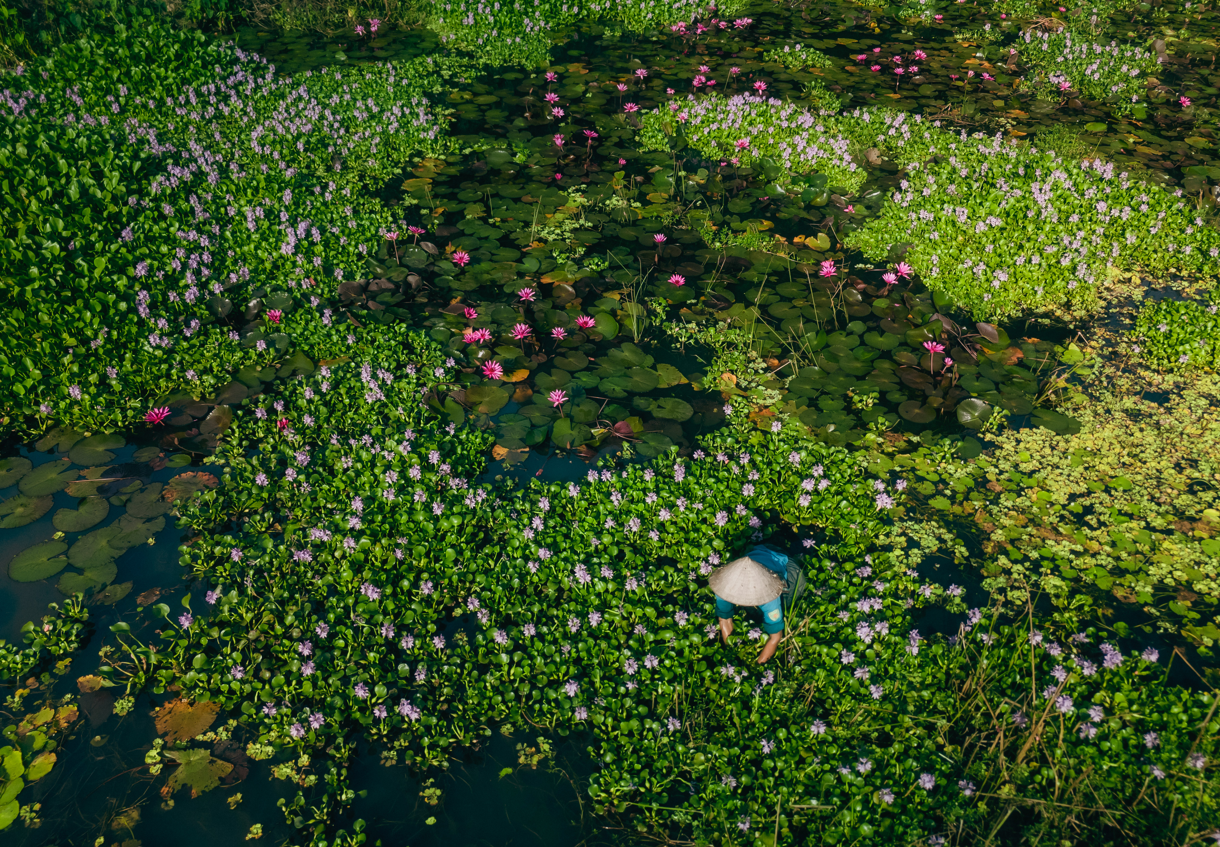 Ninh Binh in October 2024, photo taken by Authentik Vietnam