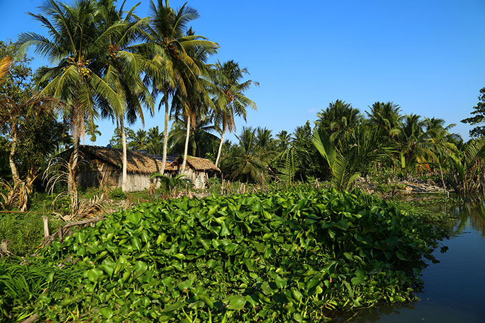 top 10 activites mekong delta homestay