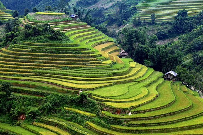 top 10 must see places in vietnam, vietnam top 10 places, top 10 places must go in vietnam, top 10 places of vietnam, north vietnam, dong van, sapa, lao cai