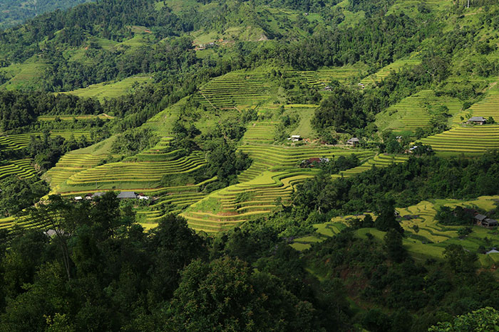 top 10 things to visit ha giang rice terraces