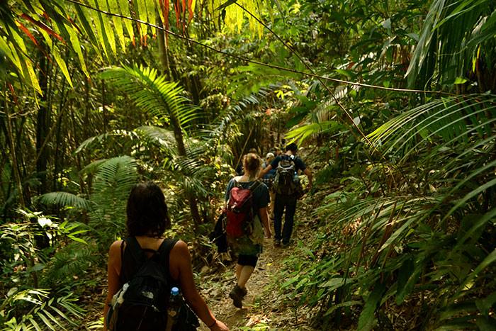 trek in Laos, trip to Laos, Luang Namtha, Phongsaly, Luang Prabang, Khammouane, Boloven Plateau