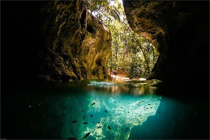 top 6 beautiful of halong bay cave of the virgin