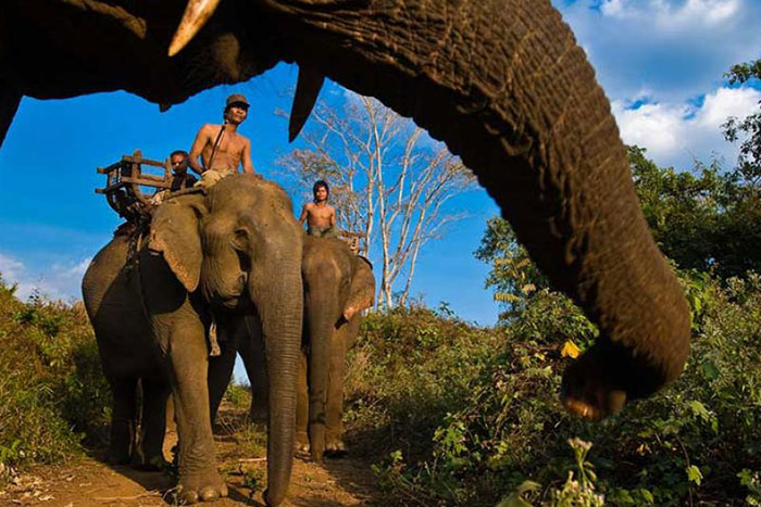 Top things to see in Ratanakiri Cambodia, yak lake, elephant ride, red earth log, virachey national park, kroeung village