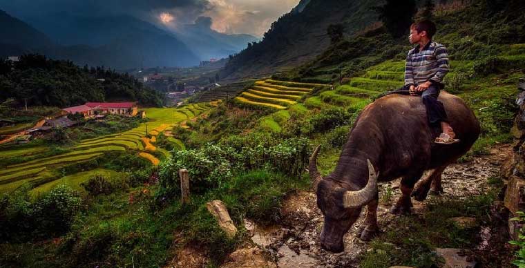 top-5-villages-in-sapa-what-to-do-in-sapa
