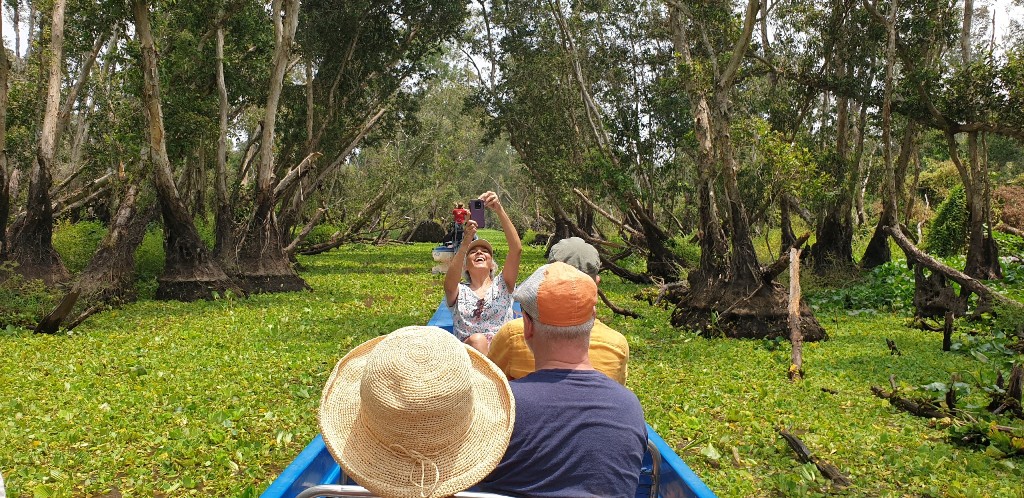 tra su cajuput forest, mekong delta vietnam, mekong delta travel guide