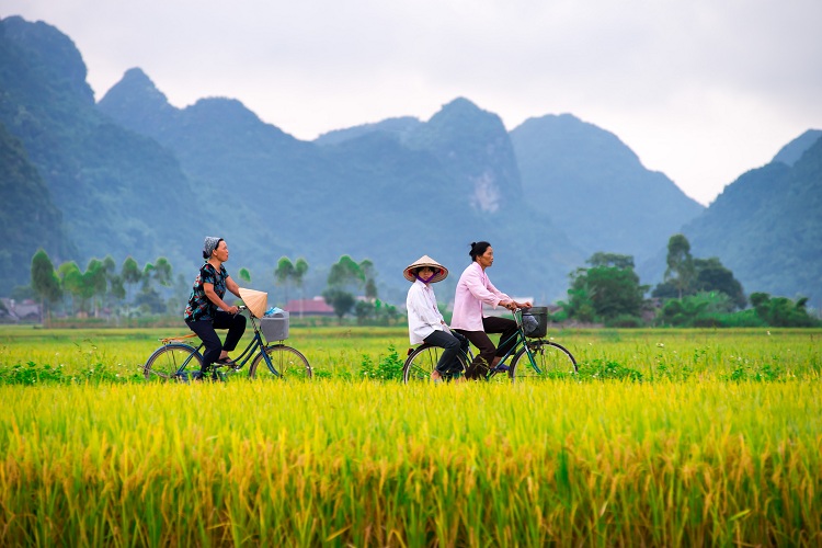 travel to vietnam, reason to go to vietnam, trip to vietnam, vietnam vacation, safe destination