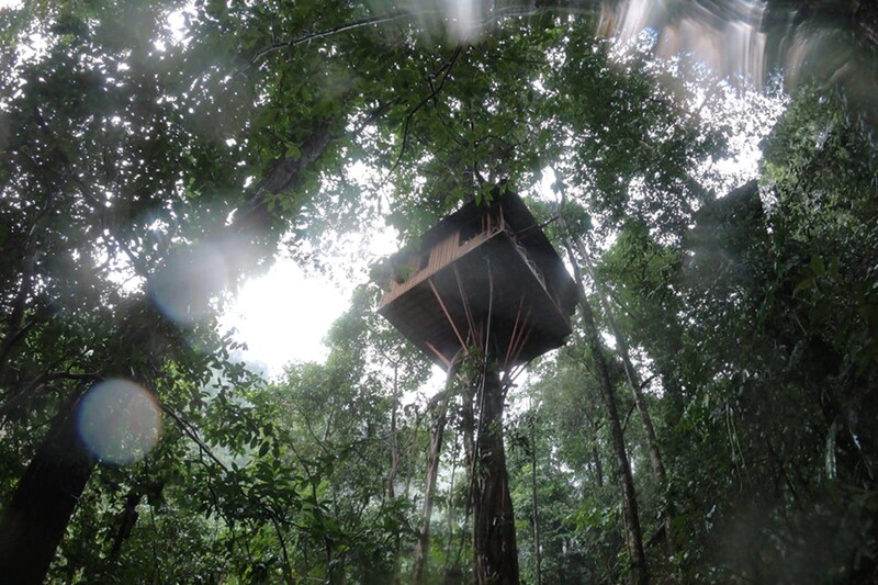 tree house, tree top explorer in laos, pakse, bolaven plateau, must do activity in southern laos, pakse laos