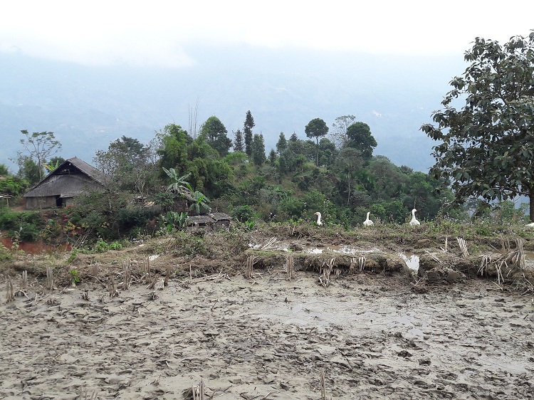 trek hoang su phi ha giang geeses