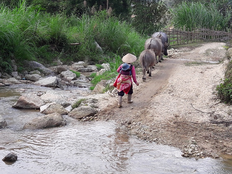 trek hoang su phi ha giang local road