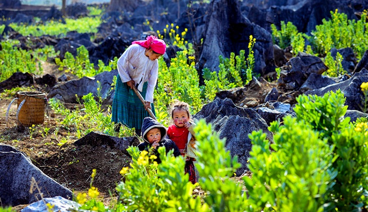 trek in ha giang vietnam life on the rocky mountains