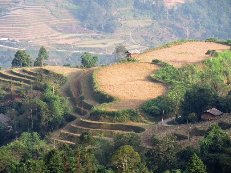 trekking hoang su phi view