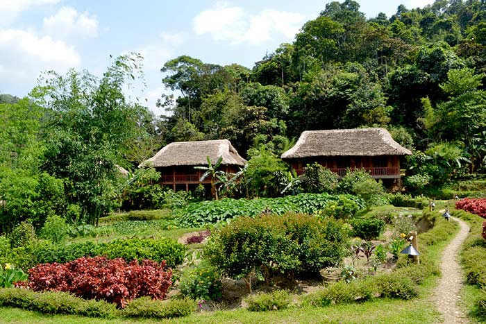 trekking in hoang su phi ha giang pan hou