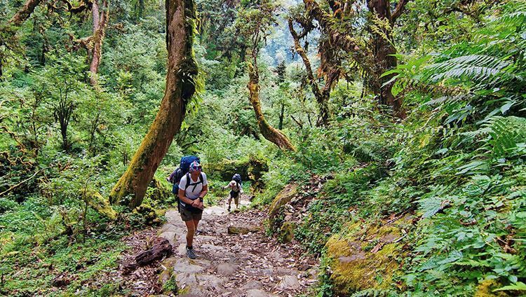 trekking in lang biang dalat vietnam, Da Lat, Lang Biang Mountain, Trekking, Central Vietnam, Central Highlands Vietnam, Hiking