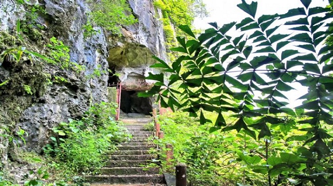 trung trang cave cat ba island forest